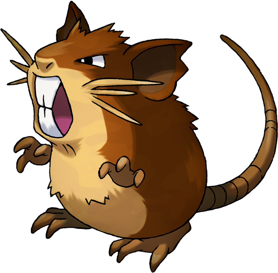 Raticate By Pokemonsketchartist Raticate By Pokemonsketchartist - Pokemon Raticate (894x894)
