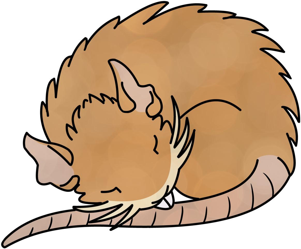 Pokemon Raticate Pkmnart Artists On Tumblr Illustration - Pokemon Raticate Pkmnart Artists On Tumblr Illustration (1280x1280)