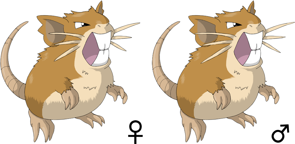 Raticate By Million Mons Project - Cat Yawns (1000x500)
