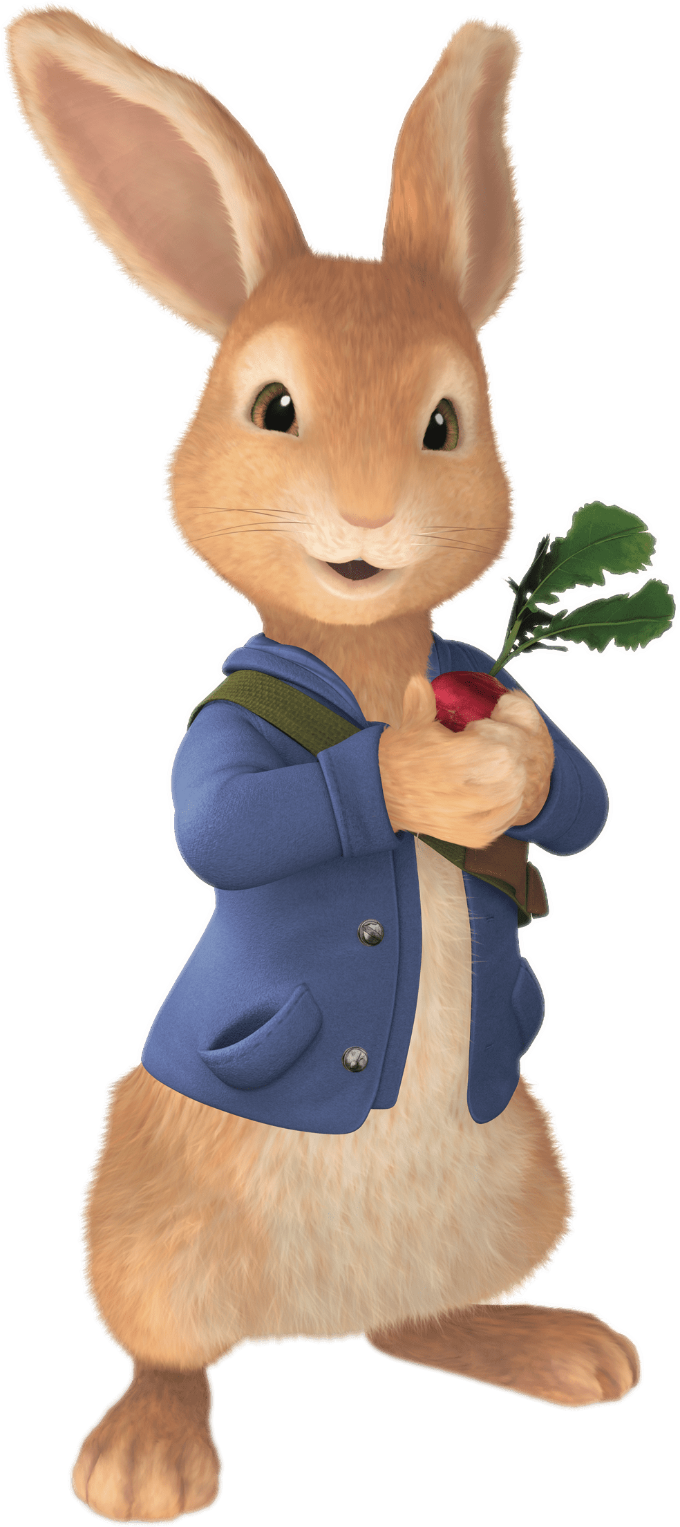 Peter Rabbit Holding Radish Transparent Png - Peter Rabbit James Corden (2362x2362)