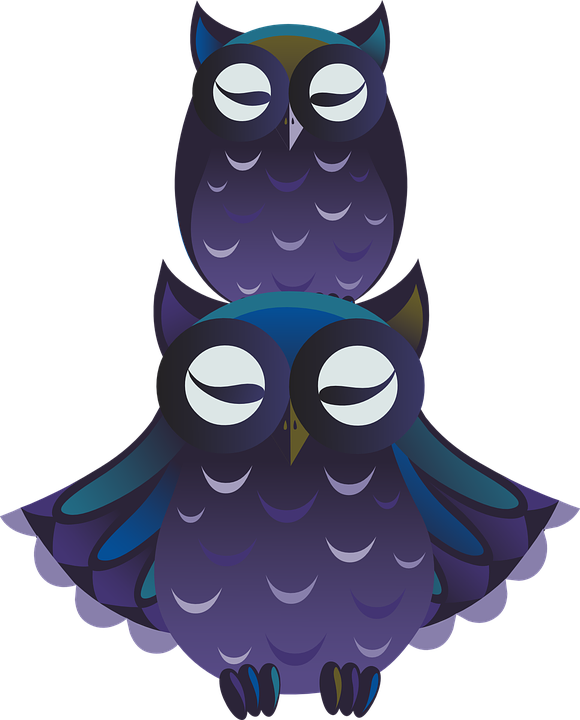 Baby Owl Clipart 11, Buy Clip Art - Png นก สี ม่วง (580x720)