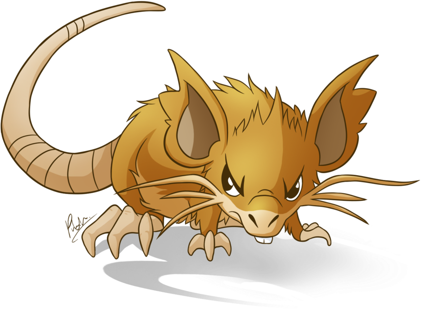Keywords Raticate Wallpaper And Tags - Html (1024x743)