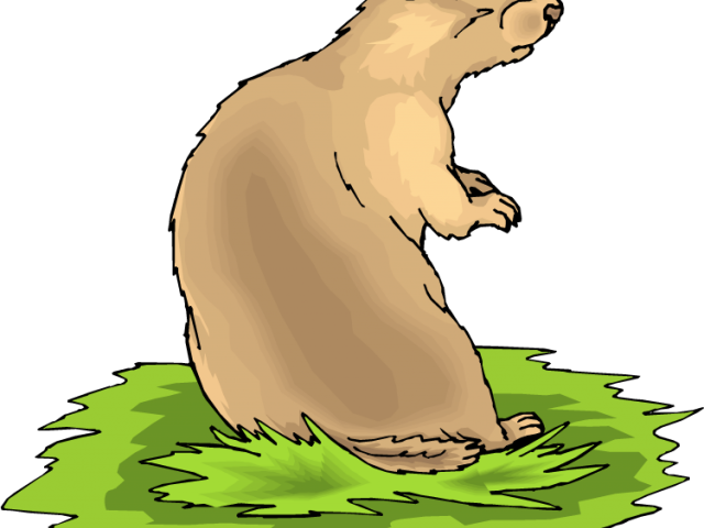 Prairie Dog Clipart Transparent - Free Prairie Dog Clip Art (640x480)