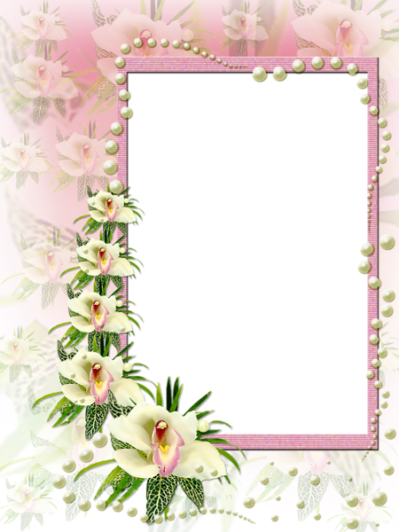 Pink And White Flowers Frame With Pearls - Flower With Pearls Borders (450x600)