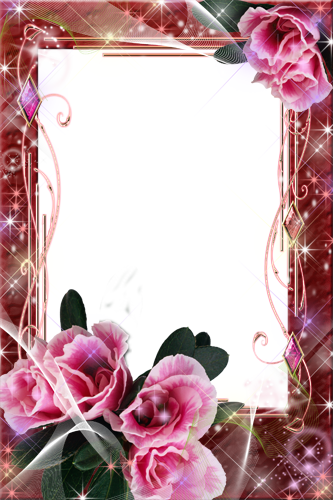 Flower7 M - Picture Frame (333x500)