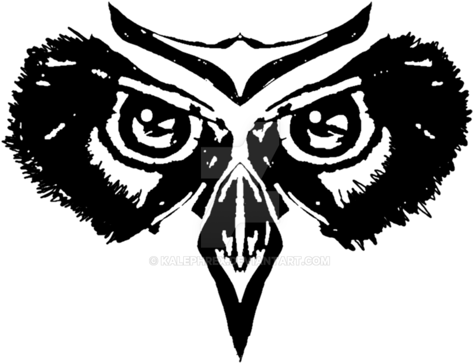 Owl's Glare By Kalephrex - Illustration (1014x788)