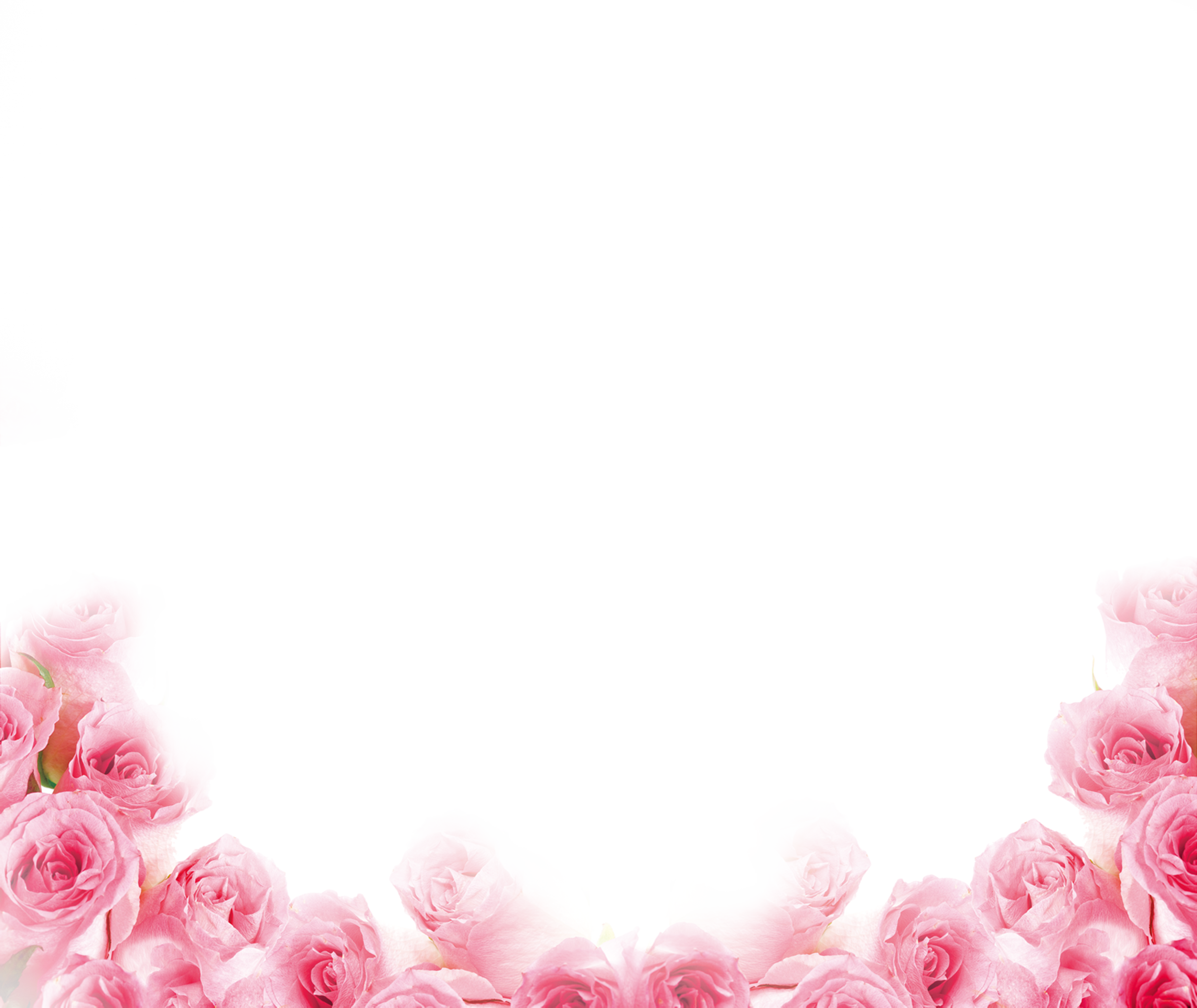 Pink Beach Rose Petal - Pink Rose Border Png (3547x2986)