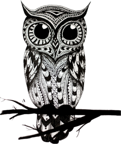 Owl Drawing Black And White (480x569)