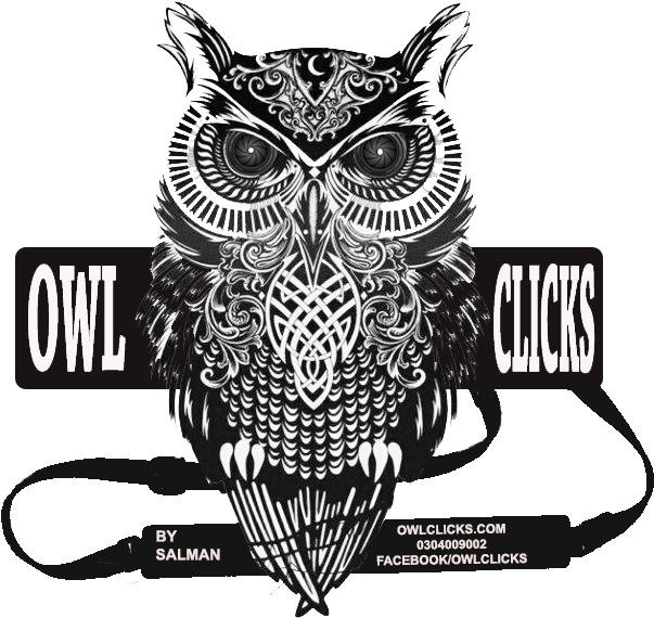 Feathers Gifs Wifflegif - Rachel Caldwell Canvas Wall Art - Warrior Owl (699x722)