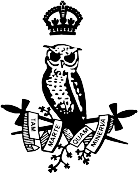 Drawn Owl Minerva - Owl With Sword (456x602)
