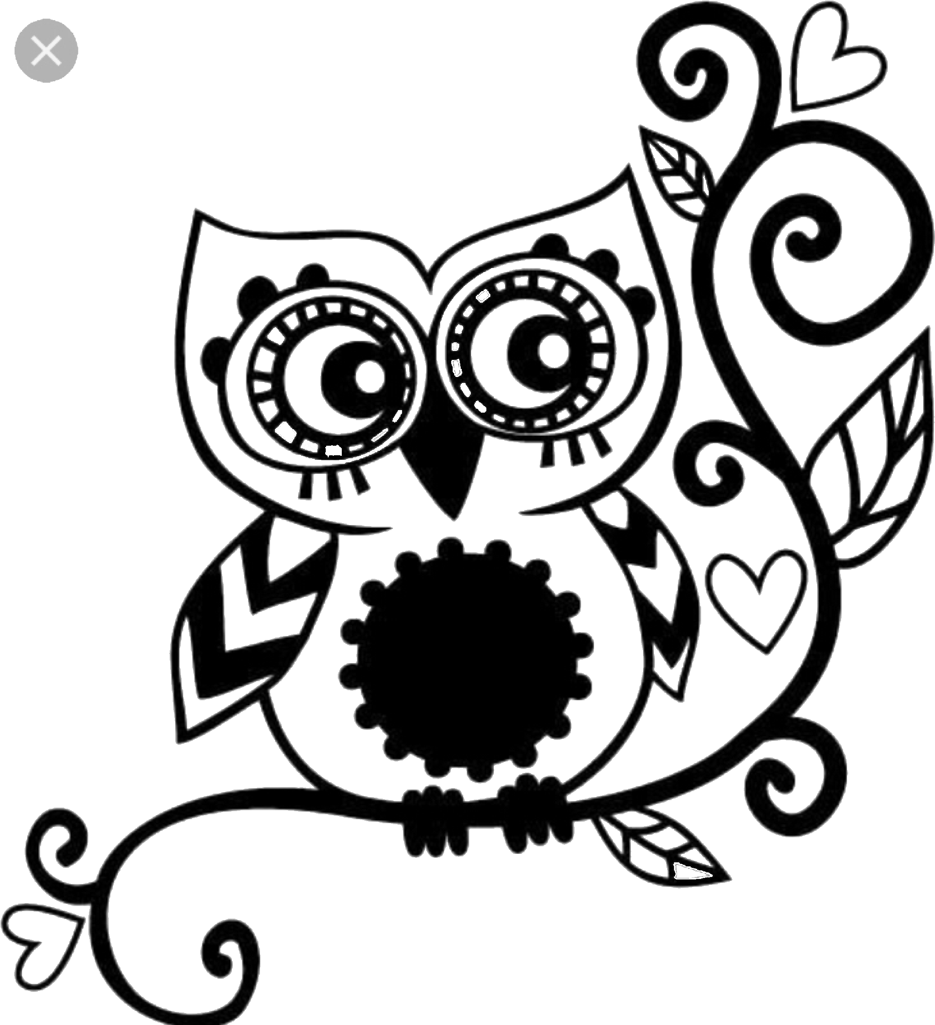 Find This Pin And More On Quotes/shapes By Dsign7 - Owl Decal (1911x2048)