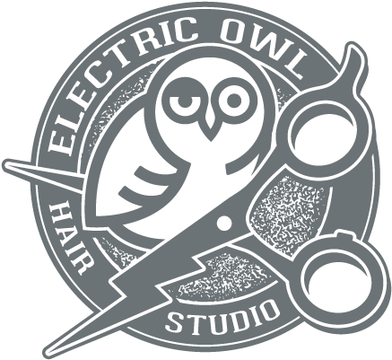 The Electric Owl - Logo (468x404)