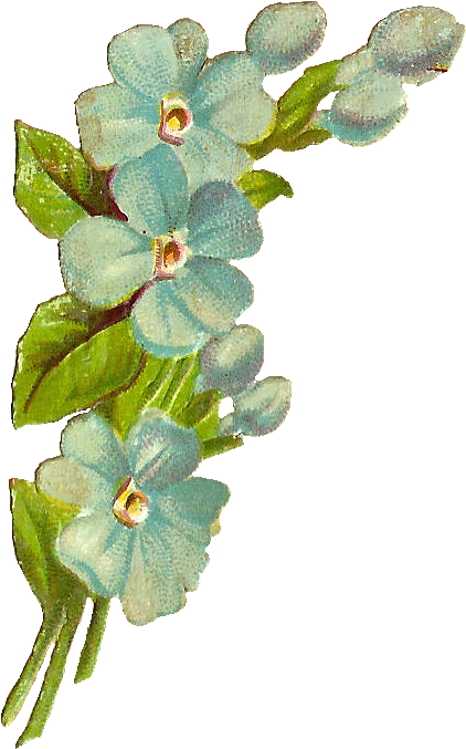 Vintage - Clip Art (527x790)