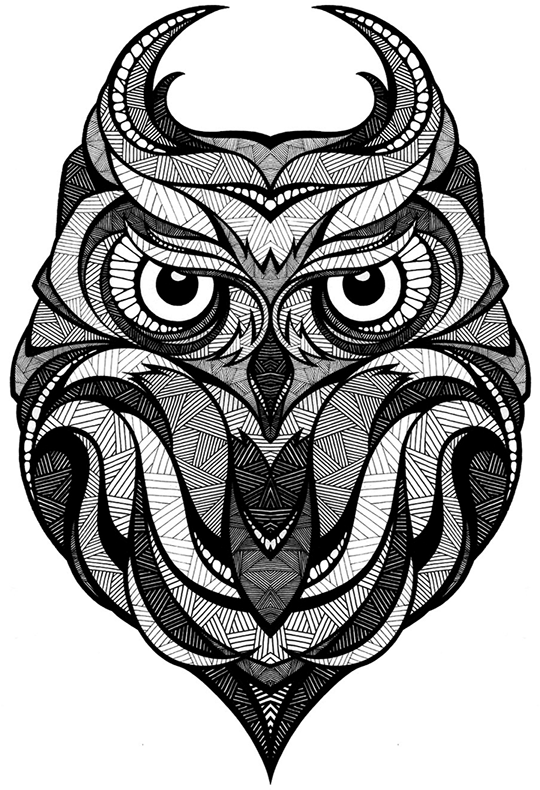 Owl Arctic Fox Drawing Art - Owl Andreas Preis (600x853)