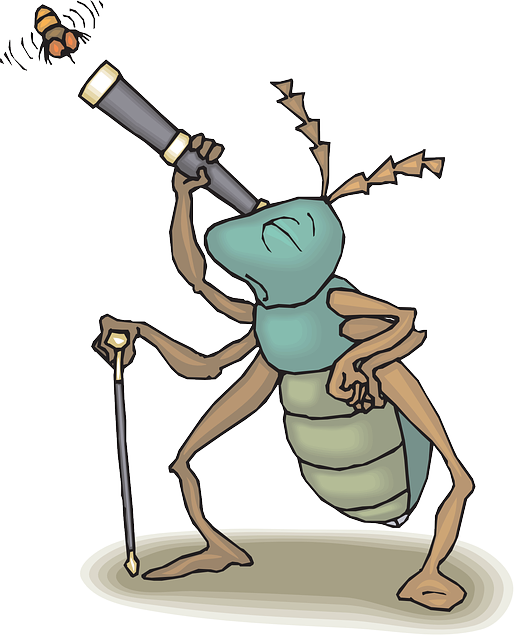 Cartoon, Telescope, Bug, Fly, Flying, Watching, Insect - Watching Insects (523x640)
