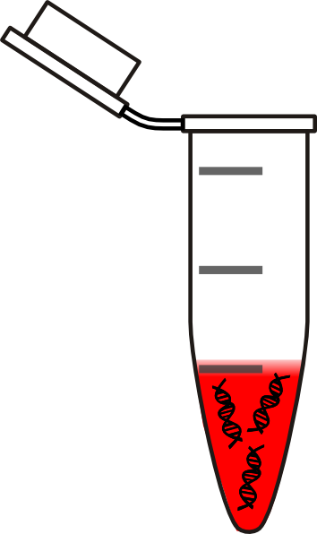 Eppendorf Tube With Blood (354x596)