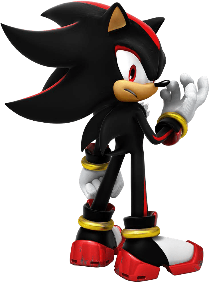 Sonic The Hedgehog Shadow (732x1000)