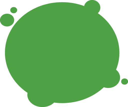 Koala's March Is A Biscuit Confectionary That Lovely - Green (514x433)