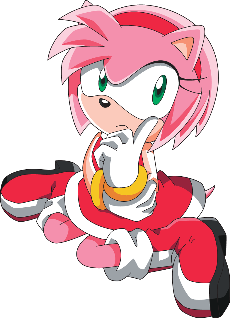 Amy Rose - Amy Rose Sonic X (785x1086)