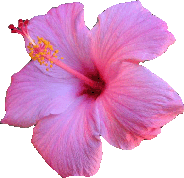 About The Geek - Computer (379x368)