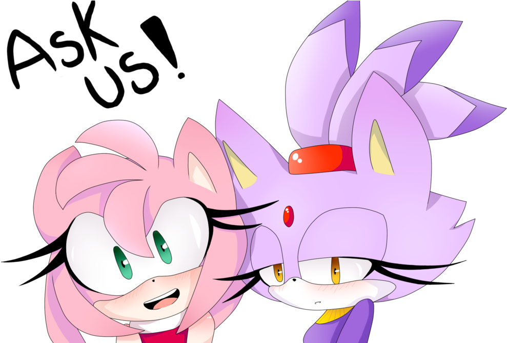 Ask Amy Rose And Blaze The Cat By Nami-love - Amy Rose X Blaze (1024x668)