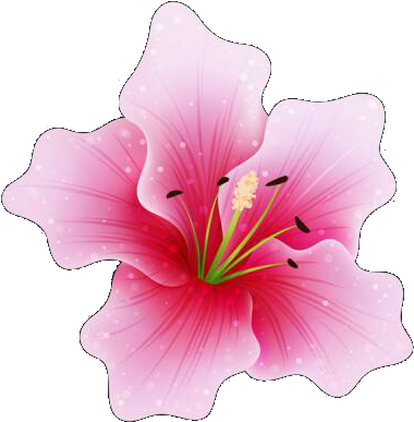 Díszek "png" - Pink Flower Png (390x400)