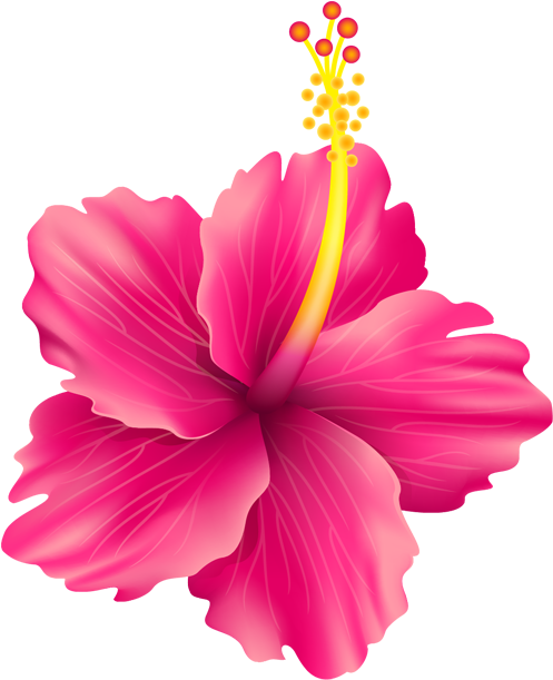 卡通手绘花 - Vector Graphics (640x640)