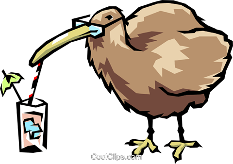 Kiwi Vogel Vektor Clipart Bild - Kiwi Vogel Vektor Clipart Bild (480x338)