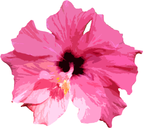 加工イメージ - Portable Network Graphics (488x435)