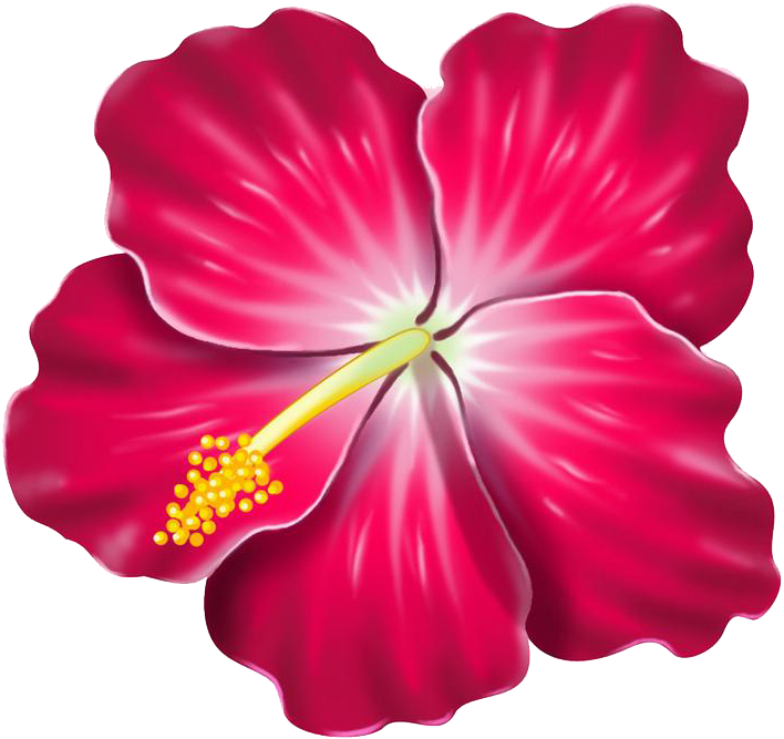 Red Hibiscus - Hawaiian Flower Clip Art (800x768)