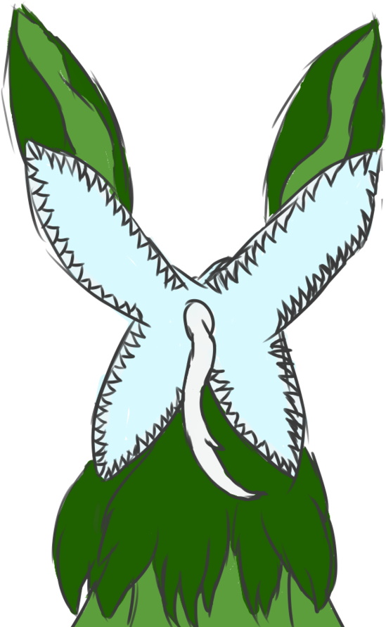 Petals Open By Blue Kiwi Cat - Drawing (894x894)