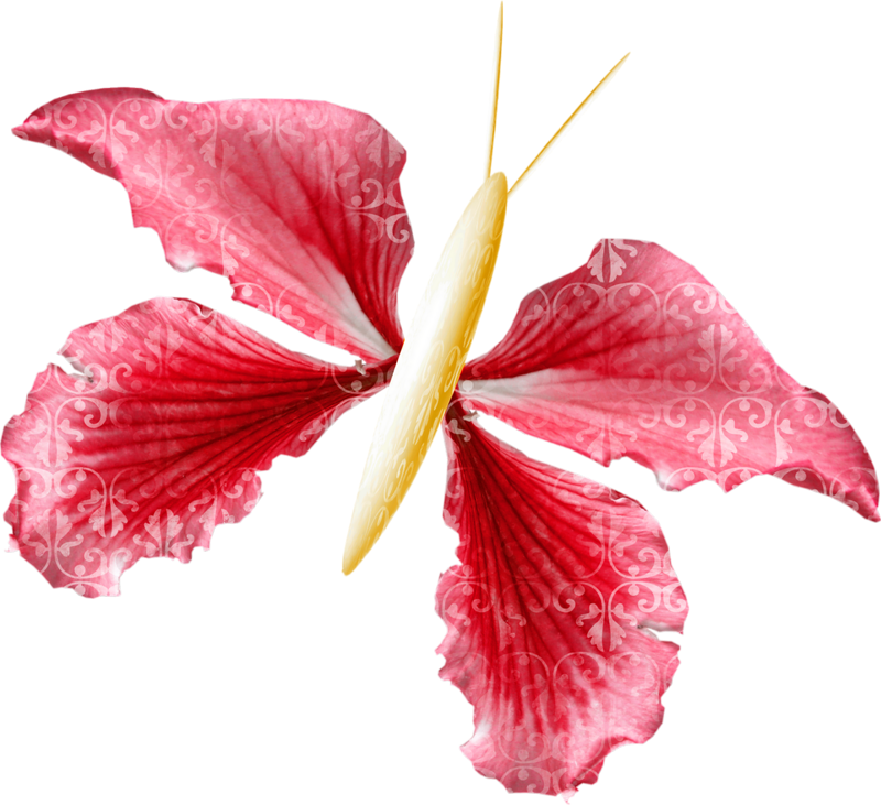 Png Çiçek Resimleri - Hawaiian Hibiscus (800x731)