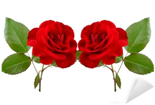 Two Beautiful Red Roses Isolated On White Background - Red (400x400)