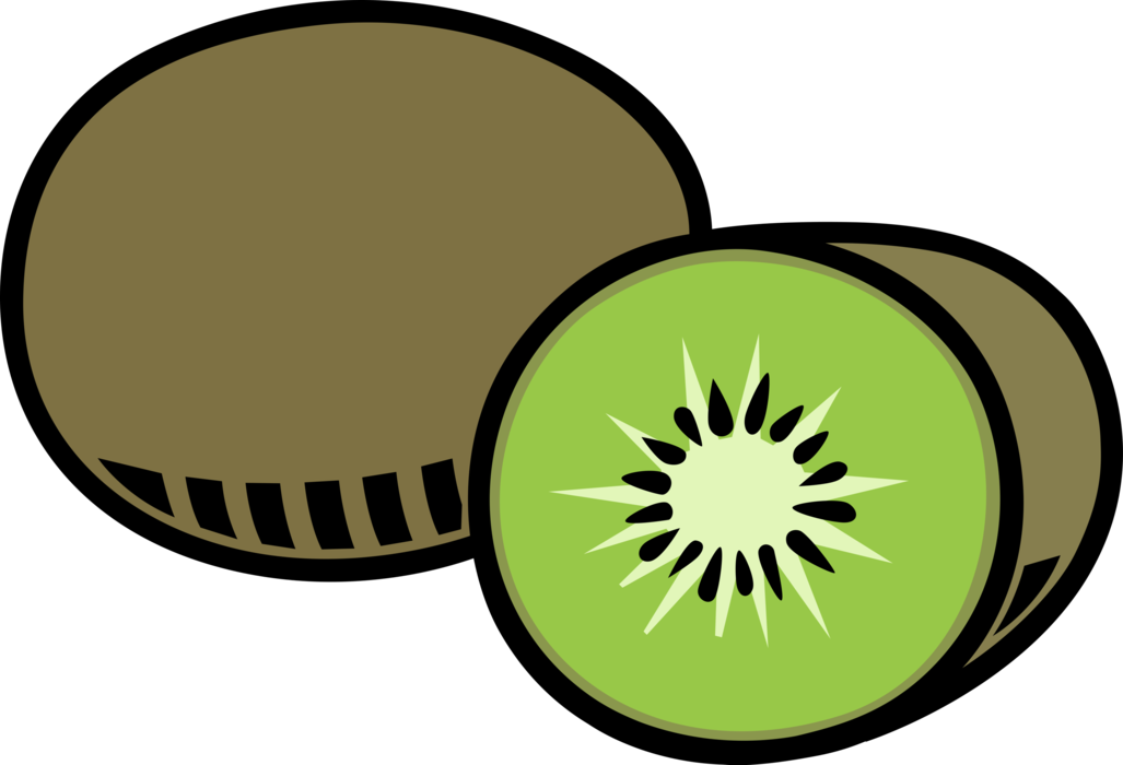 Vector Illustration Of Kiwifruit, Chinese Gooseberry - Kiwi Clipart (1027x700)