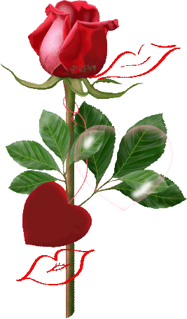 Beautiful Flowers - Χρονια Πολλα 8 Μαρτιου (267x455)