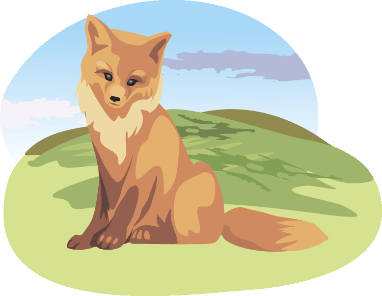 Fox Clip Art Fox Clipart Baby Shower Wild Fox Hand - Scenic Fox Design Bib (750x581)