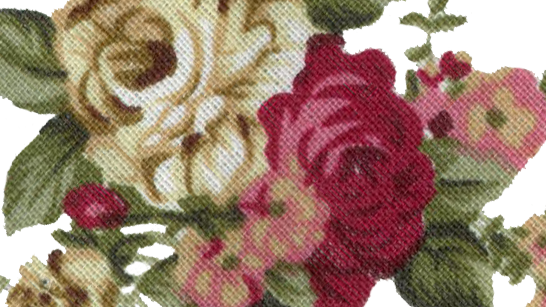 We Were The Lords Of All Creation - Vintage Flower Print (546x307)