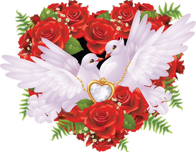 Diamond Embroidery Painting Four Love Birds Full Rhinestones - Rose Photos For Love (800x622)