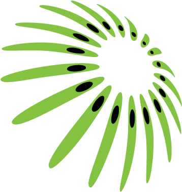 About Kiwi Power - Kiwi Power (390x390)