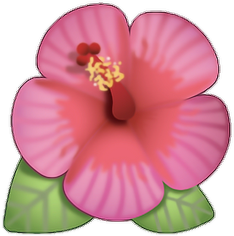 Flor Emoji Rosa Ed Cute Png Flower Cool Love - Flower Emoji With Transparent Background (512x512)