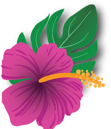 Contact Us - Hawaiian Hibiscus (418x449)