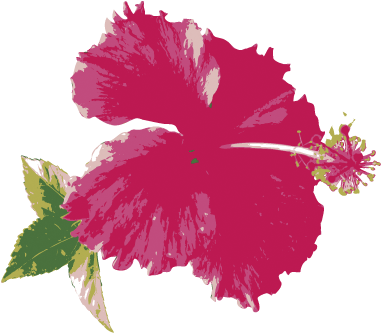 全てのハワイアングッズを一度に見るなら ハイビスカスをクリック♪ - Fukuoka (518x470)