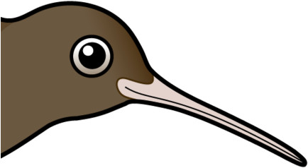 About The Brown Kiwi - North Island Brown Kiwi (440x440)