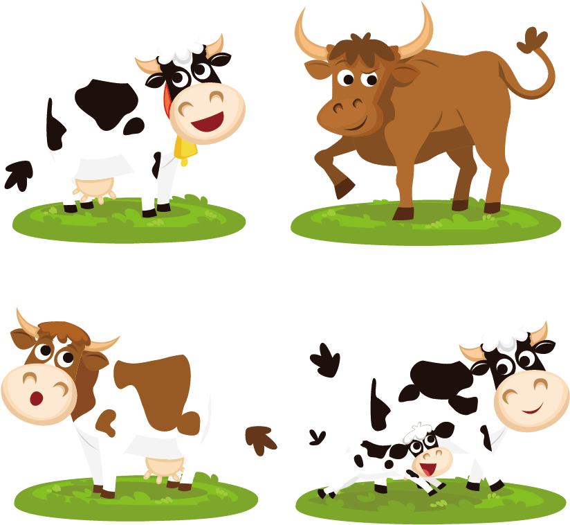 Beef Cattle Cartoon Clip Art - وکتور گاو (833x757)