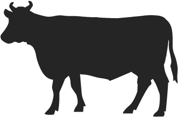 Beef Family Winter Box - Vegan Friends Not Food (500x313)