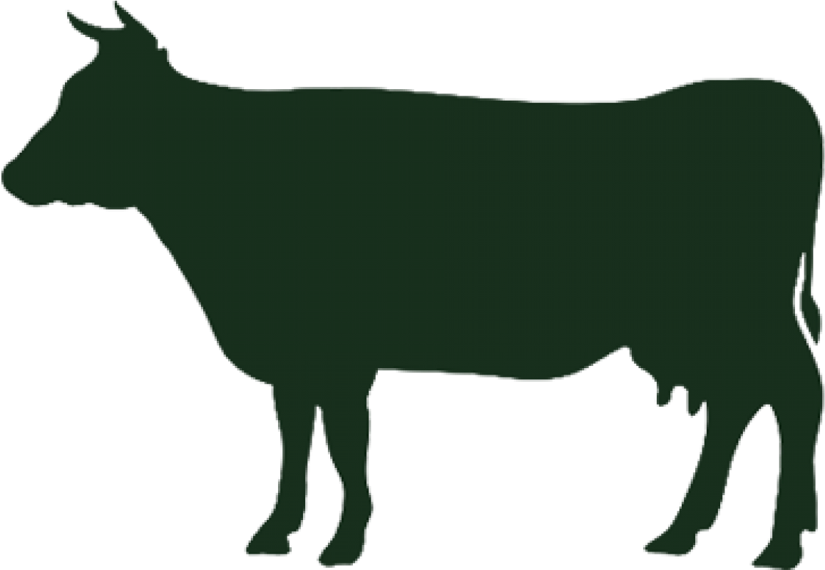 Beef - Beef Vector (1590x1440)