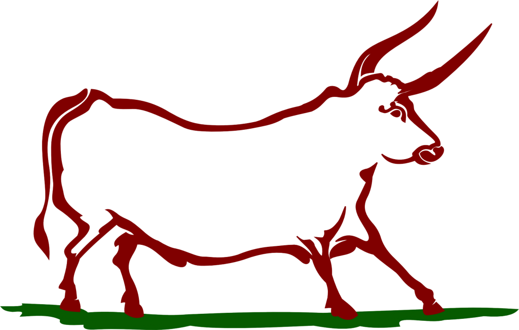 Cow Logo Version 4 Thick Lines Transparent Background - Recipe (1024x651)