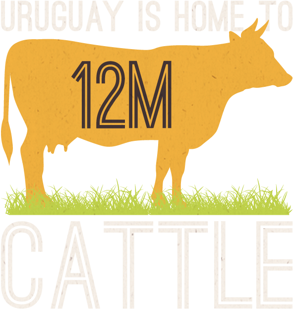 Uruguay Has 12m Cattle - Donkey (800x800)