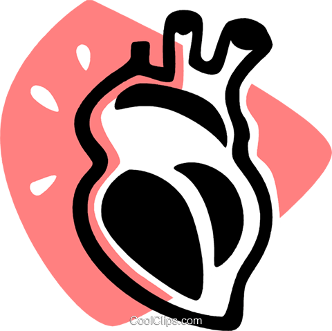 Human Heart Royalty Free Vector Clip Art Illustration - Human Heart Clipart (480x479)