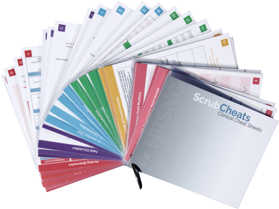 39 Things Every Nursing Student Needs Before Starting - Nursing (1024x782)